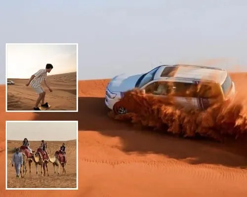 Desert Safari Excursion